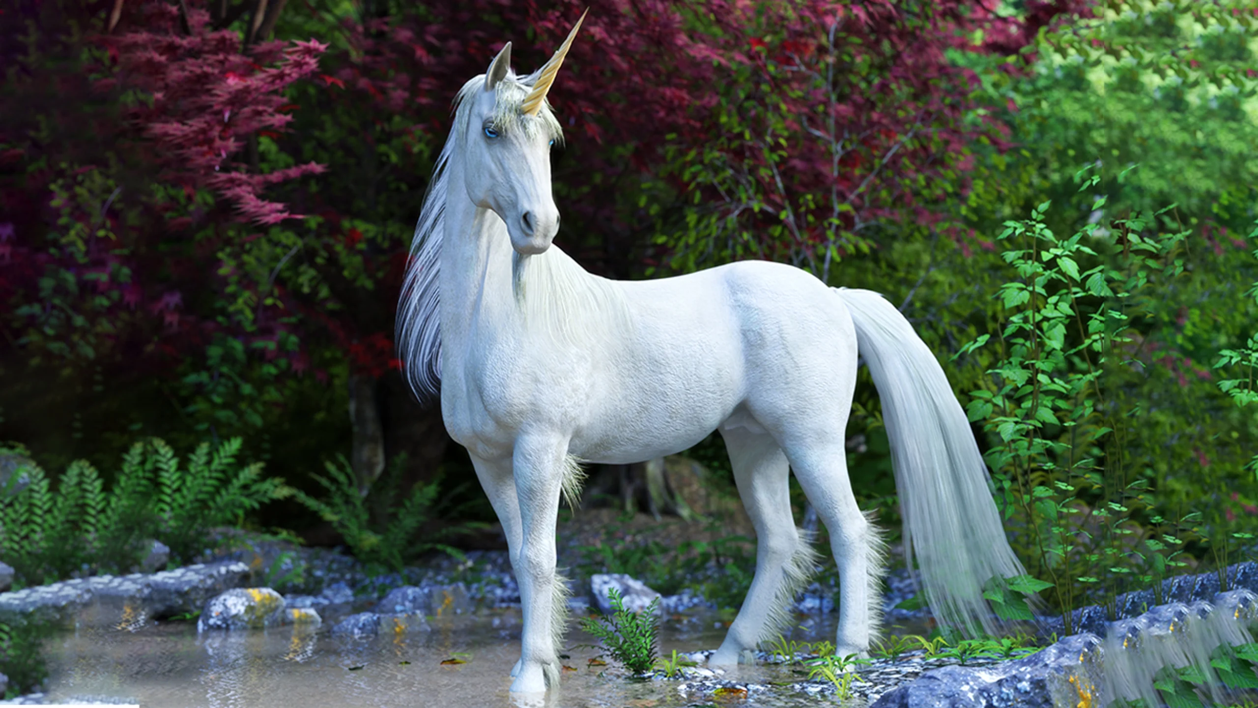 Discover the Magic of Unicorndelight88: A Journey into a Whimsical World
